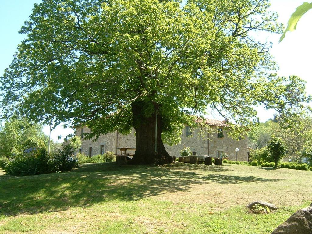 Antico Casale Pozzuolo Seggiano Exterior foto